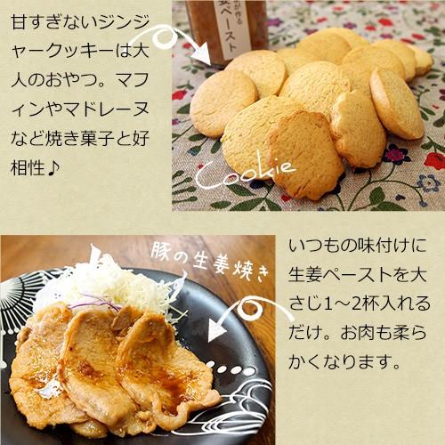 蒸し生姜ペースト 120g【飲み物や料理に】国産/無添加/ウルトラ生姜/しょうが/おかず生姜/ジンジャー/ギフト プレゼント 贈り物 温活 冷え性 妊活 |  | 06