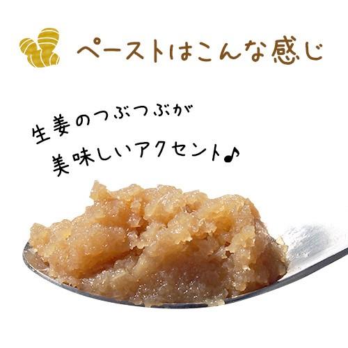 蒸し生姜ペースト 120g×2個【飲み物や料理に】国産/無添加/ウルトラ生姜/しょうが/おかず生姜/ジンジャー/プレゼント 贈り物 温活 冷え性 妊活 |  | 02