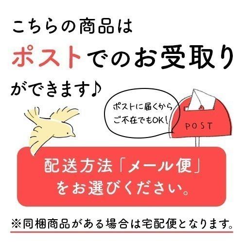 有機農家の蒸し生姜パウダー 70g オーガニック しょうがパウダー 100％ 粉末 乾燥 生姜 ジンジャー 国産 無添加 無農薬 温活 妊活 贈り物 プレゼント メール便｜happyblessing｜12