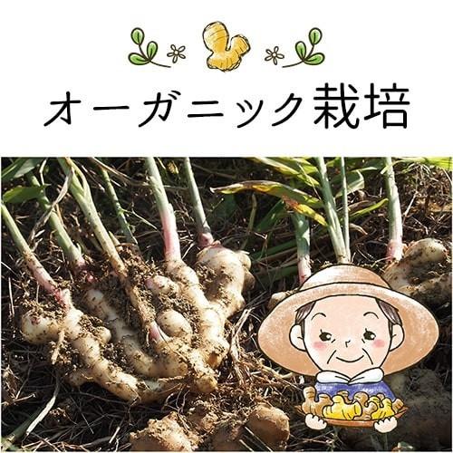 有機農家の蒸し生姜パウダー 70g オーガニック しょうがパウダー 100％ 粉末 乾燥 生姜 ジンジャー 国産 無添加 無農薬 温活 妊活 贈り物 プレゼント メール便 |  | 04