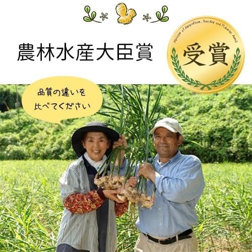有機農家の蒸し生姜パウダー 70g オーガニック しょうがパウダー 100％ 粉末 乾燥 生姜 ジンジャー 国産 無添加 無農薬 温活 妊活 贈り物 プレゼント メール便 |  | 07