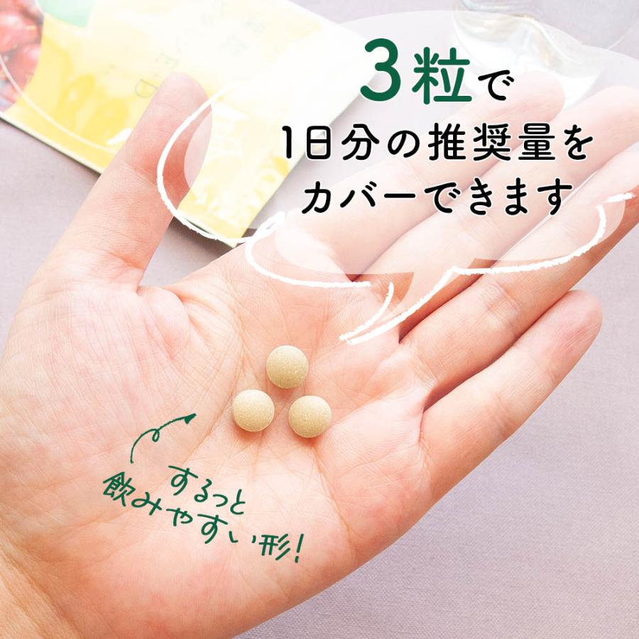 【定期購入対応】妊活サプリ ハピブレpremium 2袋セット 葉酸サプリ 葉酸 800μg配合 ビタミンE ビタミンD ビタミンC 鉄分 亜鉛 マルチサプリメント 妊活 サプリ |  | 12