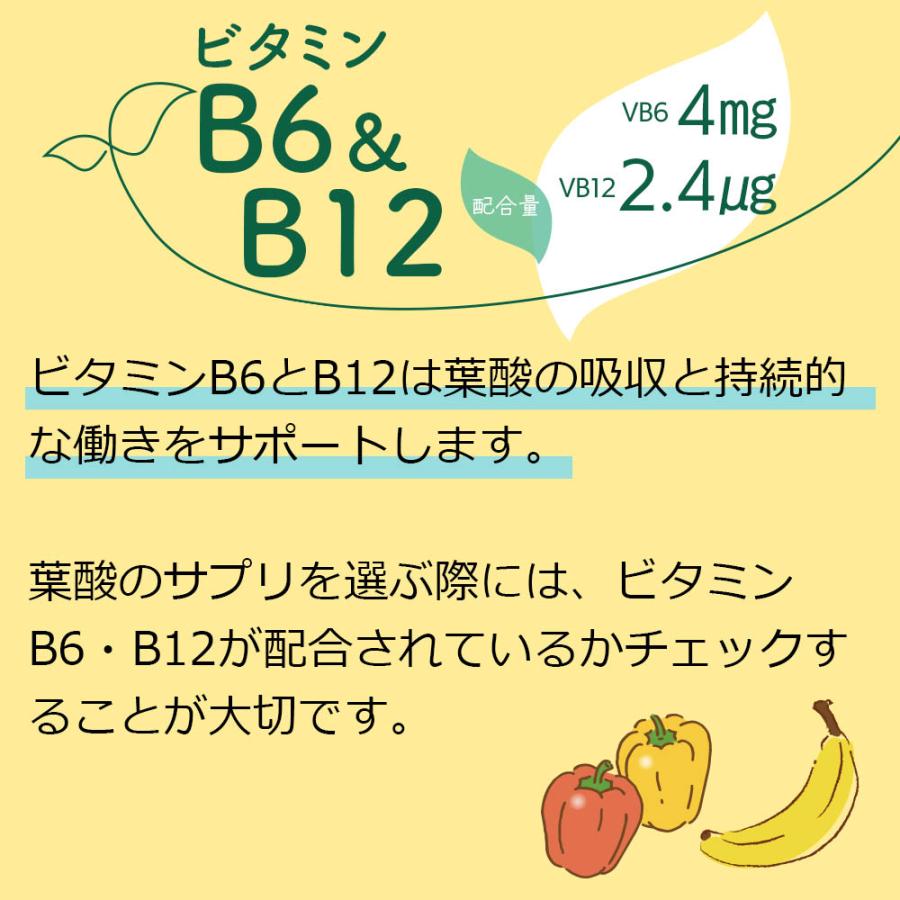 【定期購入対応】妊活サプリ ハピブレpremium 2袋セット 葉酸サプリ 葉酸 800μg配合 ビタミンE ビタミンD ビタミンC 鉄分 亜鉛 マルチサプリメント 妊活 サプリ |  | 07