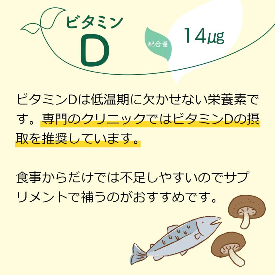 妊活サプリ ハピブレpremium 葉酸800μg配合 3袋セット マルチサプリメント ビタミンE・D・C 鉄分 亜鉛 ●定期購入対応● |  | 04