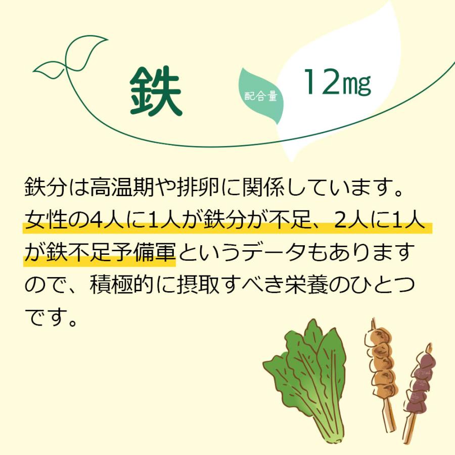 妊活サプリ ハピブレpremium 葉酸800μg配合 3袋セット マルチサプリメント ビタミンE・D・C 鉄分 亜鉛 ●定期購入対応● |  | 06