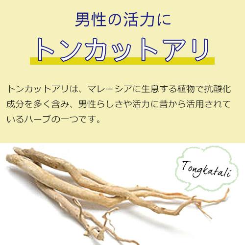 マカと亜鉛+黒マカ ご夫婦セット マカサプリメント 妊活 ヤマノ トンカットアリ メール便対応 |  | 08