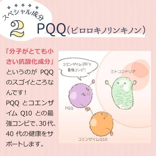 【定期購入対応】ミトコンドリア サプリ ミトコン Q10＋PQQ(60カプセル)2袋セット 還元型コエンザイム サプリ ピロロキノリンキノン Lカルニチン マイトル 妊活 |  | 04