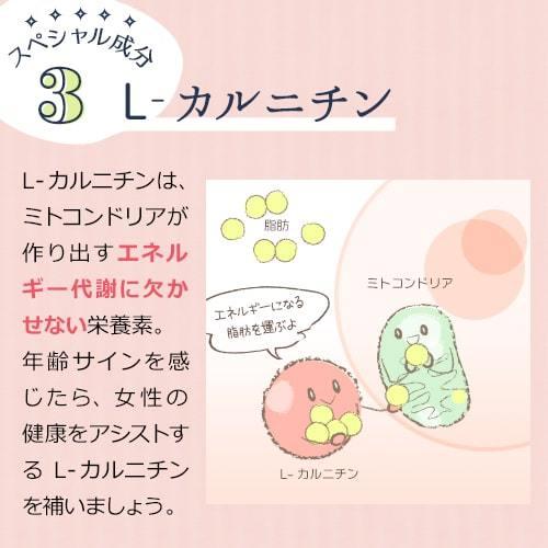 【定期購入対応】ミトコンドリア サプリ ミトコン Q10＋PQQ(60カプセル)2袋セット 還元型コエンザイム サプリ ピロロキノリンキノン Lカルニチン マイトル 妊活 |  | 05