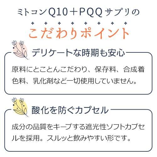 【定期購入対応】ミトコンドリア サプリ ミトコン Q10＋PQQ(60カプセル)2袋セット 還元型コエンザイム サプリ ピロロキノリンキノン Lカルニチン マイトル 妊活 |  | 06