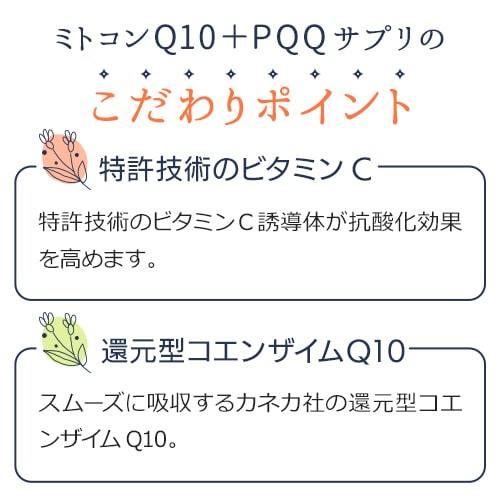 【定期購入対応】ミトコンドリア サプリ ミトコン Q10＋PQQ(60カプセル)2袋セット 還元型コエンザイム サプリ ピロロキノリンキノン Lカルニチン マイトル 妊活 |  | 07