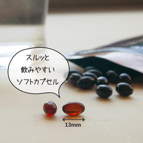 【定期購入対応】ミトコンドリア サプリ ミトコン Q10＋PQQ(60カプセル)2袋セット 還元型コエンザイム サプリ ピロロキノリンキノン Lカルニチン マイトル 妊活 |  | 09