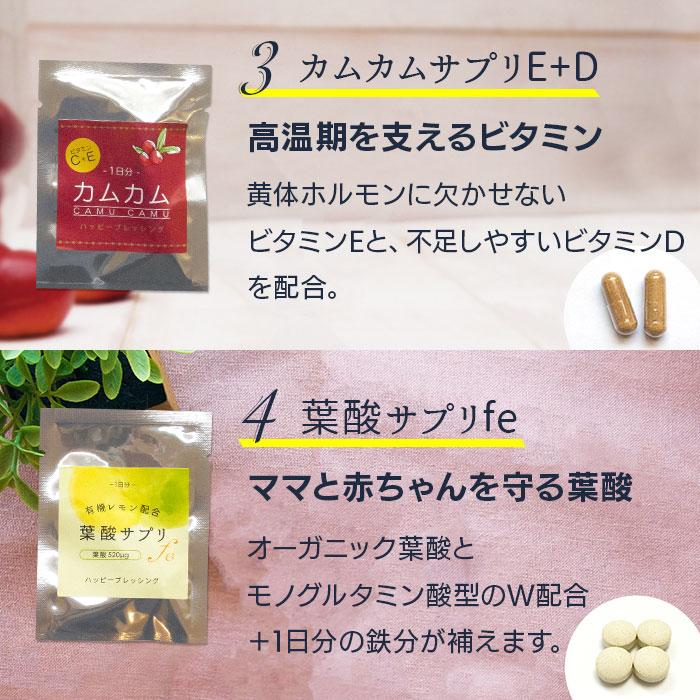 人気のサプリ＆妊活茶お試しセット マカ 葉酸 鉄 亜鉛 サプリメント ルイボスティー 桑茶 ビタミンE・D メール便 送料無料 |  | 06