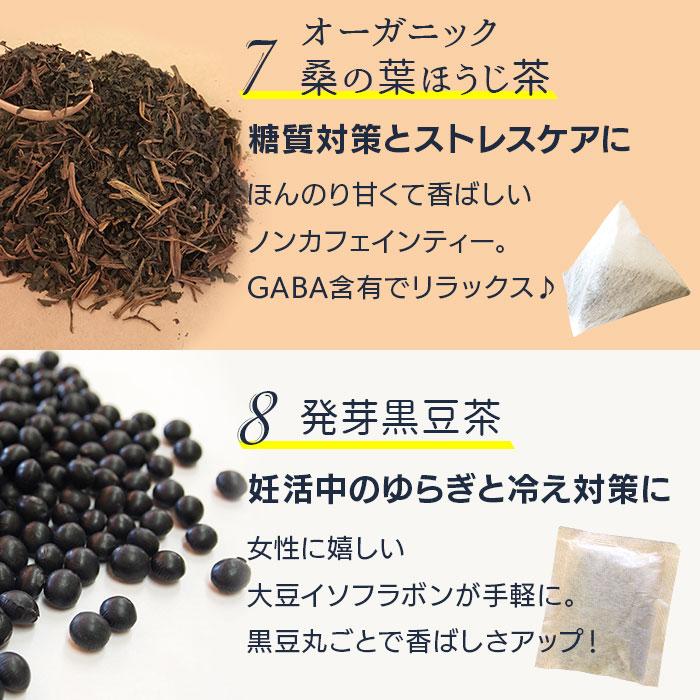 人気のサプリ＆妊活茶お試しセット マカ 葉酸 鉄 亜鉛 サプリメント ルイボスティー 桑茶 ビタミンE・D メール便 送料無料 |  | 08