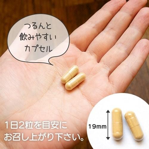 sazucaプレミアム マカと葉酸のサプリメント 妊活 酵素 クリスパタス菌(120カプセル 2ヶ月分) |  | 08