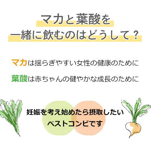 sazucaプレミアム マカと葉酸のサプリメント 妊活 酵素 クリスパタス菌(120カプセル 2ヶ月分) |  | 02