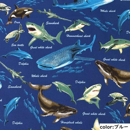 50cm単位】【2mまでメール便対応】 くじら 鮫 イルカ 海の生き物