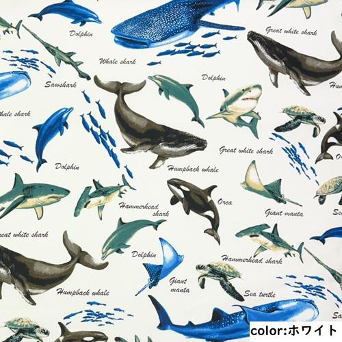 50cm単位】【2mまでメール便対応】 くじら 鮫 イルカ 海の生き物