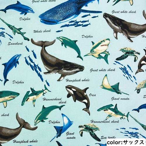 50cm単位】【2mまでメール便対応】 くじら 鮫 イルカ 海の生き物