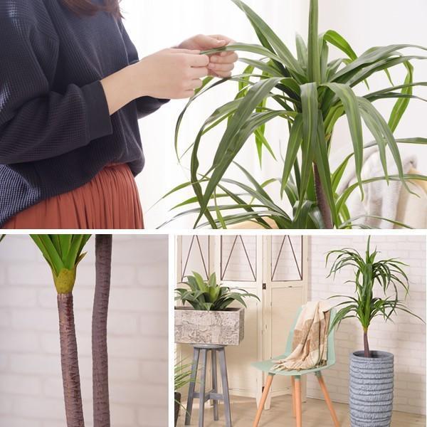 セール＆特集＞観葉植物 ドラセナ フェイクグリーン リアル 大型