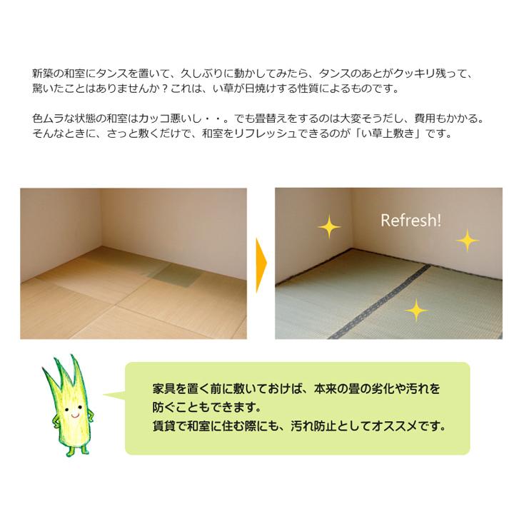 (タイムセール中) ござ 三六間 約273×273cm 4.5畳 日本製 夏用 おしゃれ