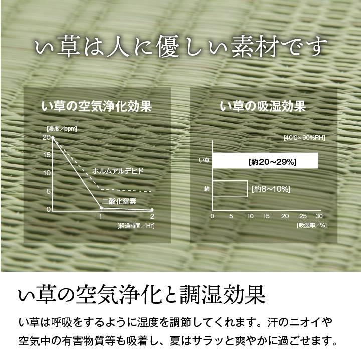 (タイムセール中) い草カーペット 本間 約191×191cm 2畳 日本製 抗菌防臭 夏 おしゃれ