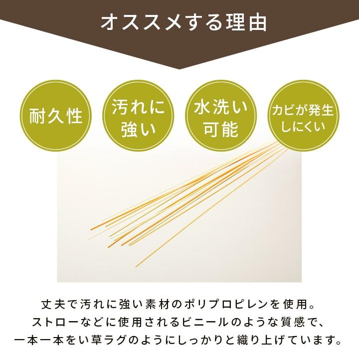 カーペット 洗える 約261×352cm 6畳 無地 除菌スプレー対応 レジャーシート おしゃれ_4