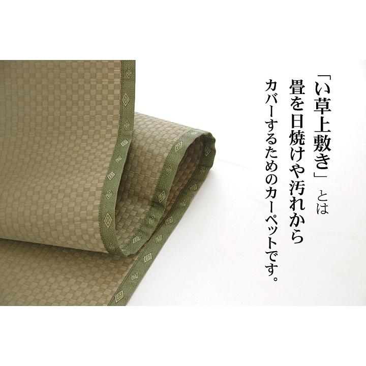 (タイムセール中) 敷物 夏用 江戸間 約261×261cm 4.5畳 消臭 和室 国産い草カーペット おしゃれ