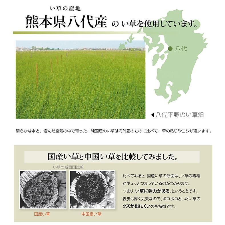 (タイムセール中) 敷物 夏用 江戸間 約261×261cm 4.5畳 消臭 和室 国産い草カーペット おしゃれ