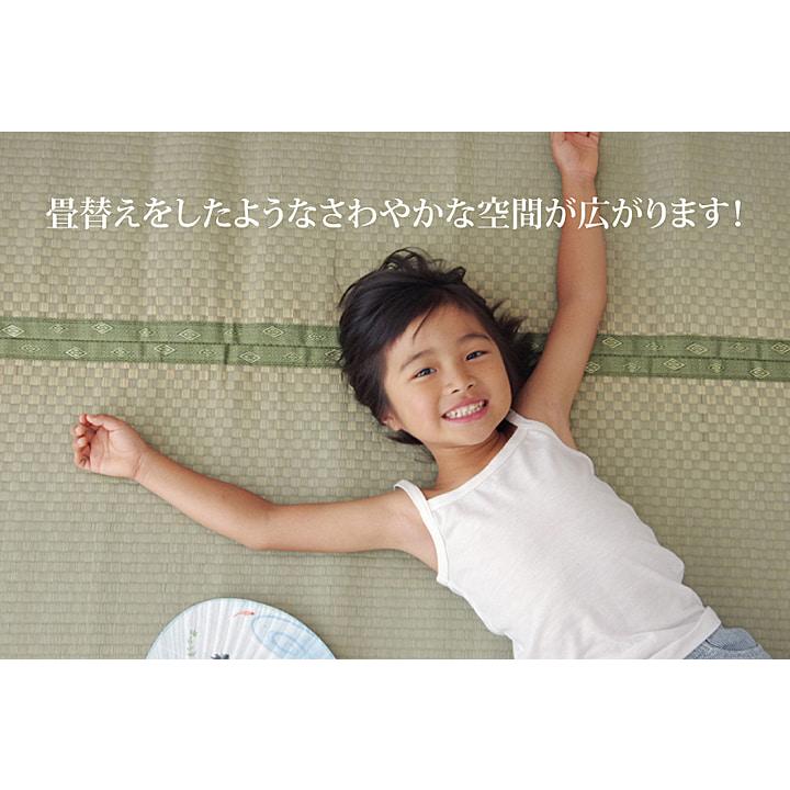 (タイムセール中) 敷物 夏用 三六間 約182×273cm 3畳 消臭 和室 国産い草カーペット おしゃれ