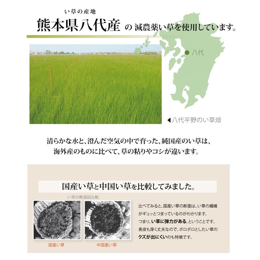 (タイムセール中) 敷物 夏用 江戸間 約440×352cm 10畳 消臭 和室 国産い草カーペット おしゃれ_5