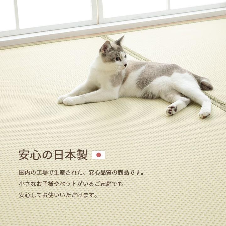 レジャーシート 江戸間 約261×261cm 4.5畳 ピクニック アウトドア リバーシブル おしゃれ_12