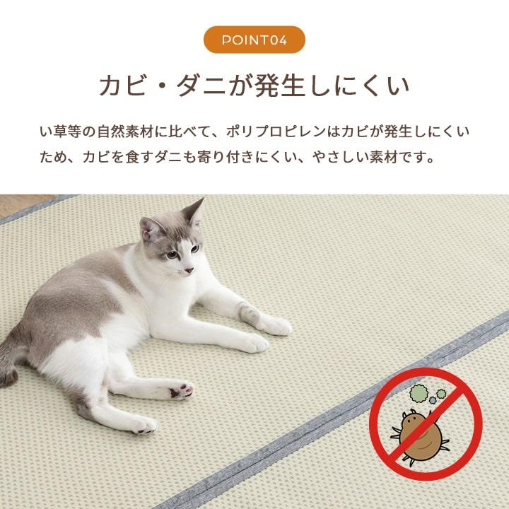 レジャーシート 江戸間 約261×261cm 4.5畳 ピクニック アウトドア リバーシブル おしゃれ_8