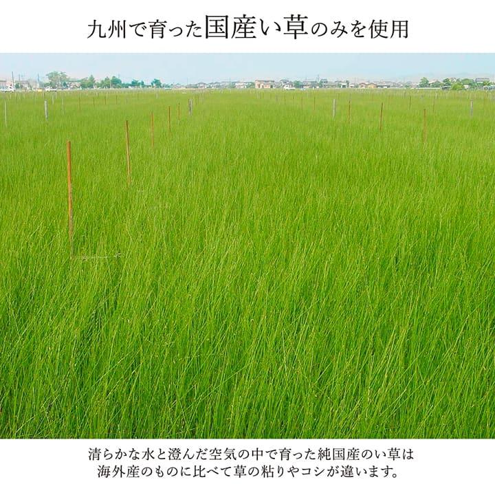 (タイムセール中) 敷物 夏用 江戸間 約261×352cm 6畳 消臭 掛川織 おしゃれ_4