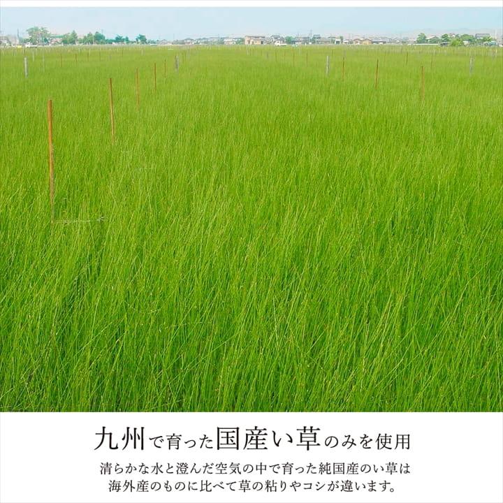システム畳 約82×82×2.3cm(同色2枚組) 連結 和室 消臭 い草 おしゃれ_13
