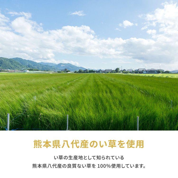 上敷き 夏 10畳 477×382 本間 畳マット い草_3