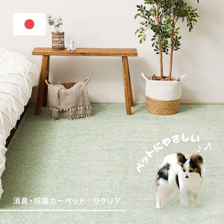 (タイムセール中) カーペット おしゃれ 4.5畳 261×261cm 江戸間 ペット対応 消臭 抗菌 防臭_1