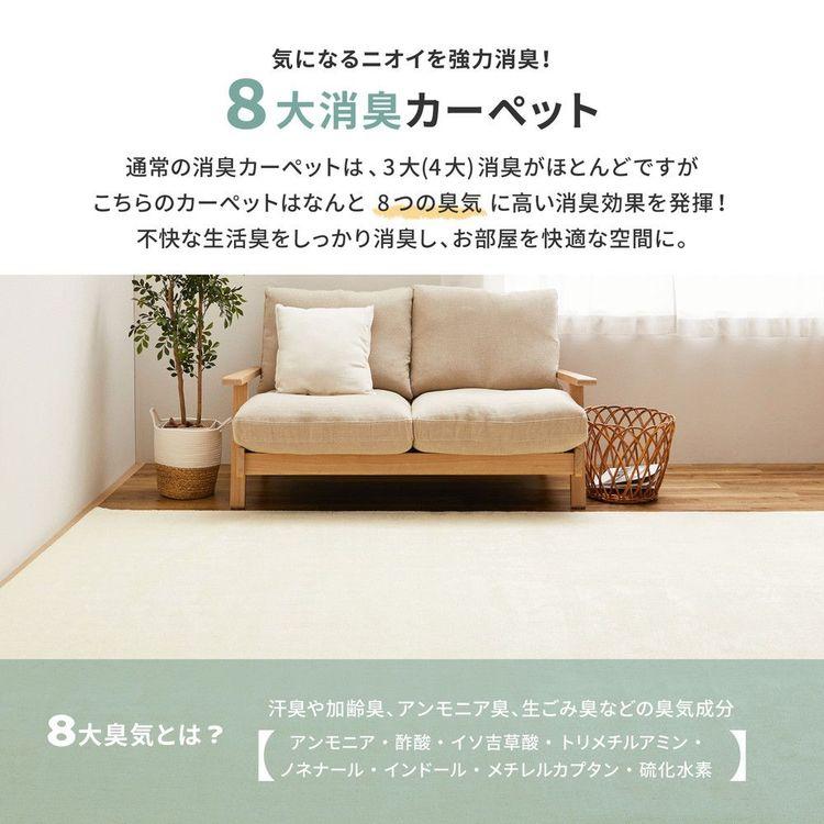 (タイムセール中) カーペット おしゃれ 4.5畳 261×261cm 江戸間 ペット対応 消臭 抗菌 防臭_2