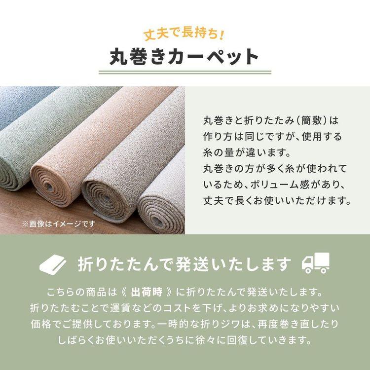 (タイムセール中) カーペット おしゃれ 4.5畳 261×261cm 江戸間 ペット対応 消臭 抗菌 防臭_7