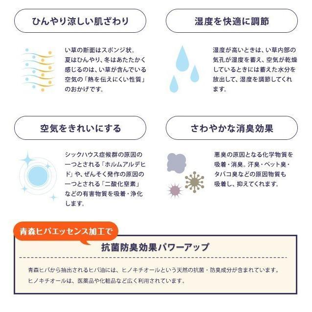 (タイムセール中) 玄関マット 夏 70×120cm おしゃれ カイハラデニム×マルチパターン 純国産 日本製 い草ラグマット