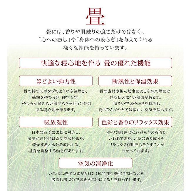 ダブルベッド 畳ベッド 洗える畳・高さ42cm 日本製大型収納ベッド