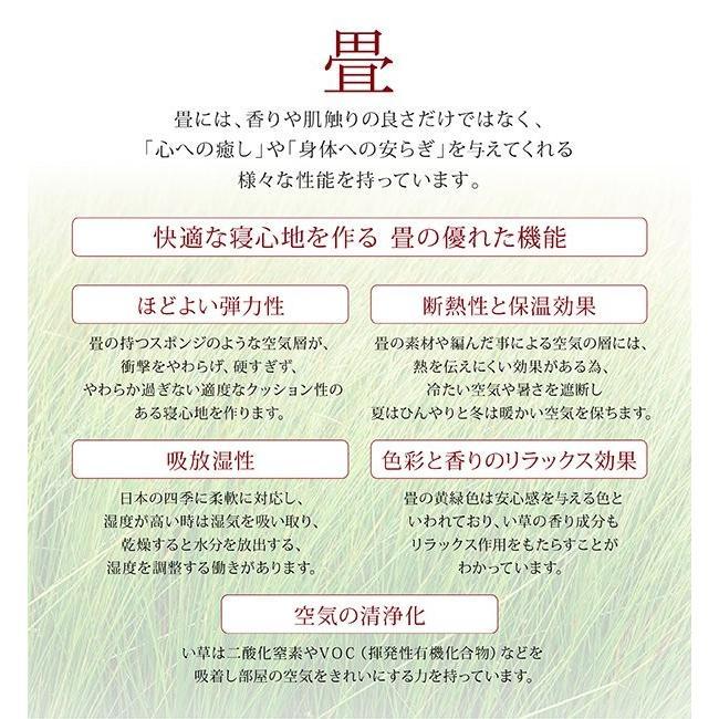 ダブルベッド 畳ベッド い草畳・高さ29cm 日本製大型収納ベッド_5