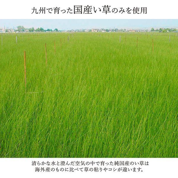 い草ラグ おしゃれ 約3畳 約191×250cm 国産_7