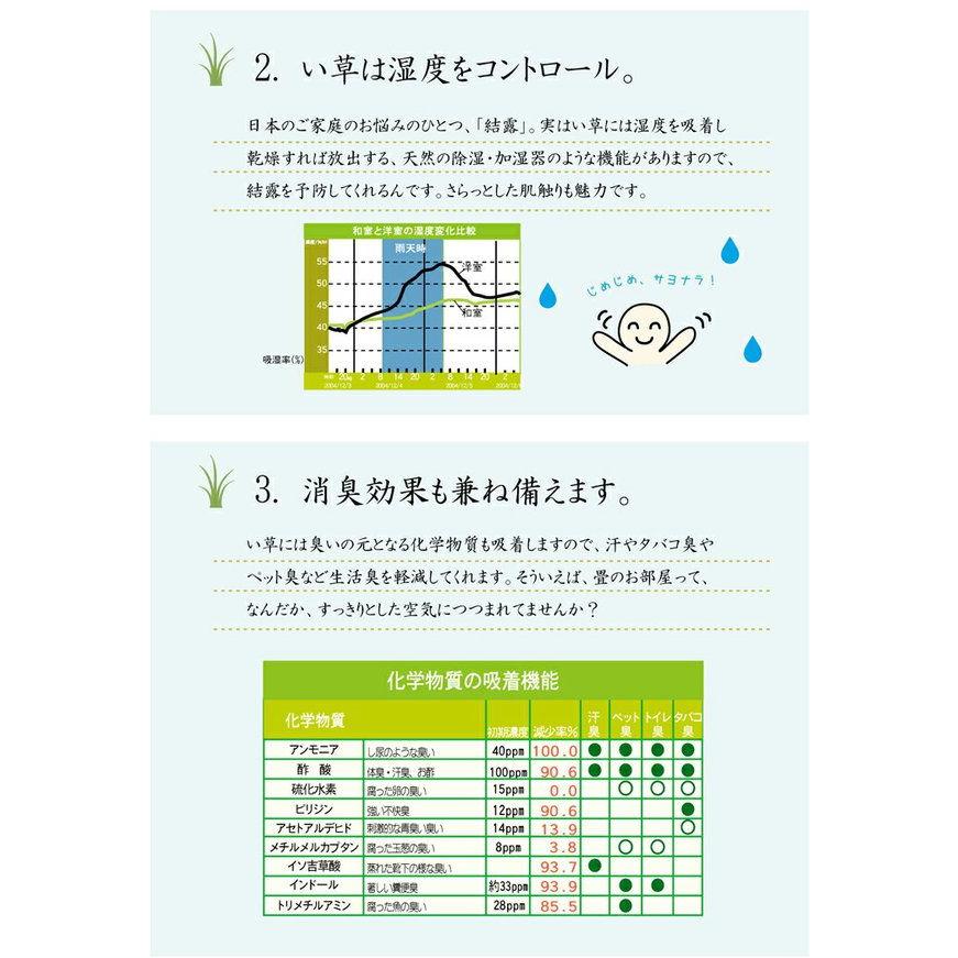 (タイムセール中) い草カーペット 江戸間4.5畳 約261×261cm おしゃれ 花ござ_17