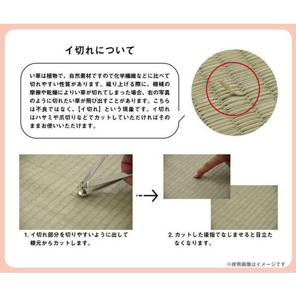 い草ラグ おしゃれ 約3畳 約190×250cm 制菌 抗菌防臭 すべり止め