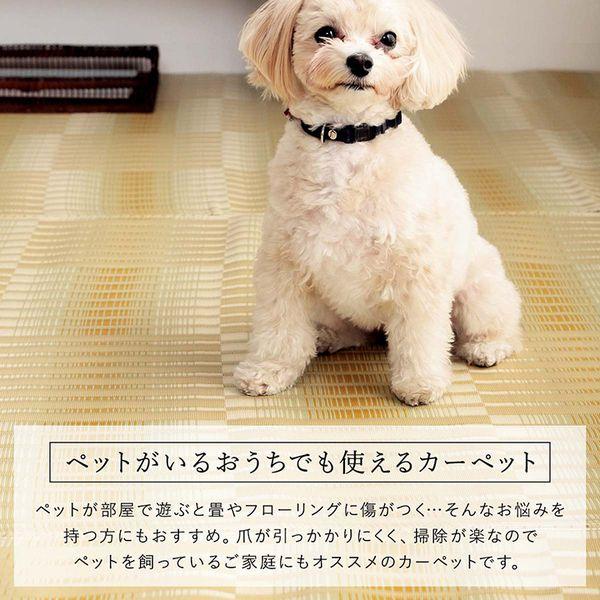 (タイムセール中) ラグマット おしゃれ 約477.5×382cm 本間10畳 洗える ござ
