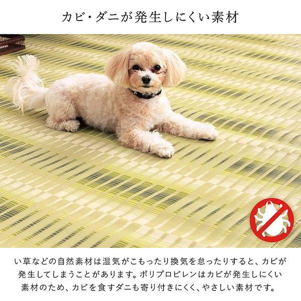 (タイムセール中) ラグマット おしゃれ 約477.5×382cm 本間10畳 洗える ござ