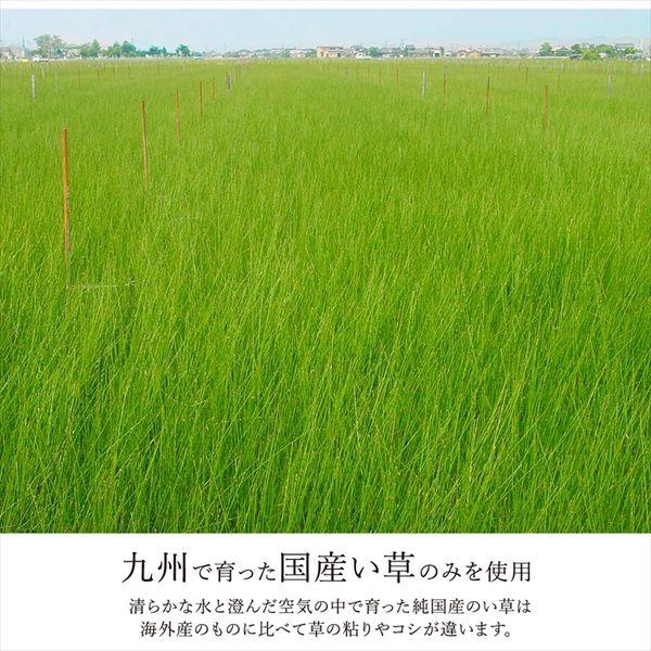 い草ラグ おしゃれ 江戸間6畳 約261×352cm ござ 防炎 国産_10