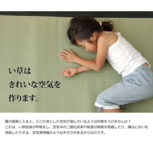 い草カーペット 上敷き 江戸間8畳 約352×352cm 国産_10