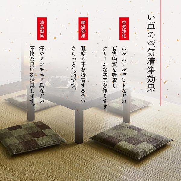 座布団 おしゃれ 2枚組 約55×55cm 夏用 い草 ブロック柄 グリーン 日本製の画像