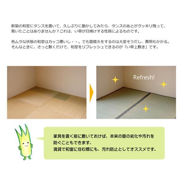 い草ラグ おしゃれ 江戸間3畳 約176×261cm 国産